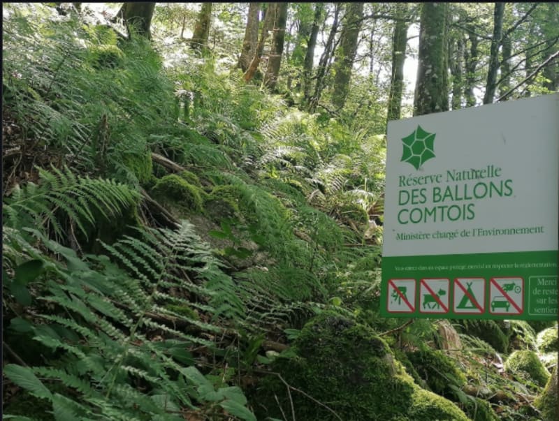 Vous avez dit Réserve Naturelle ?