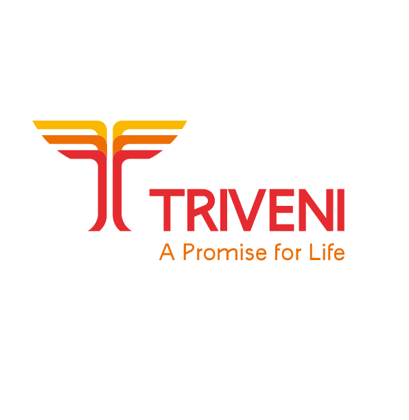 Triveni Group