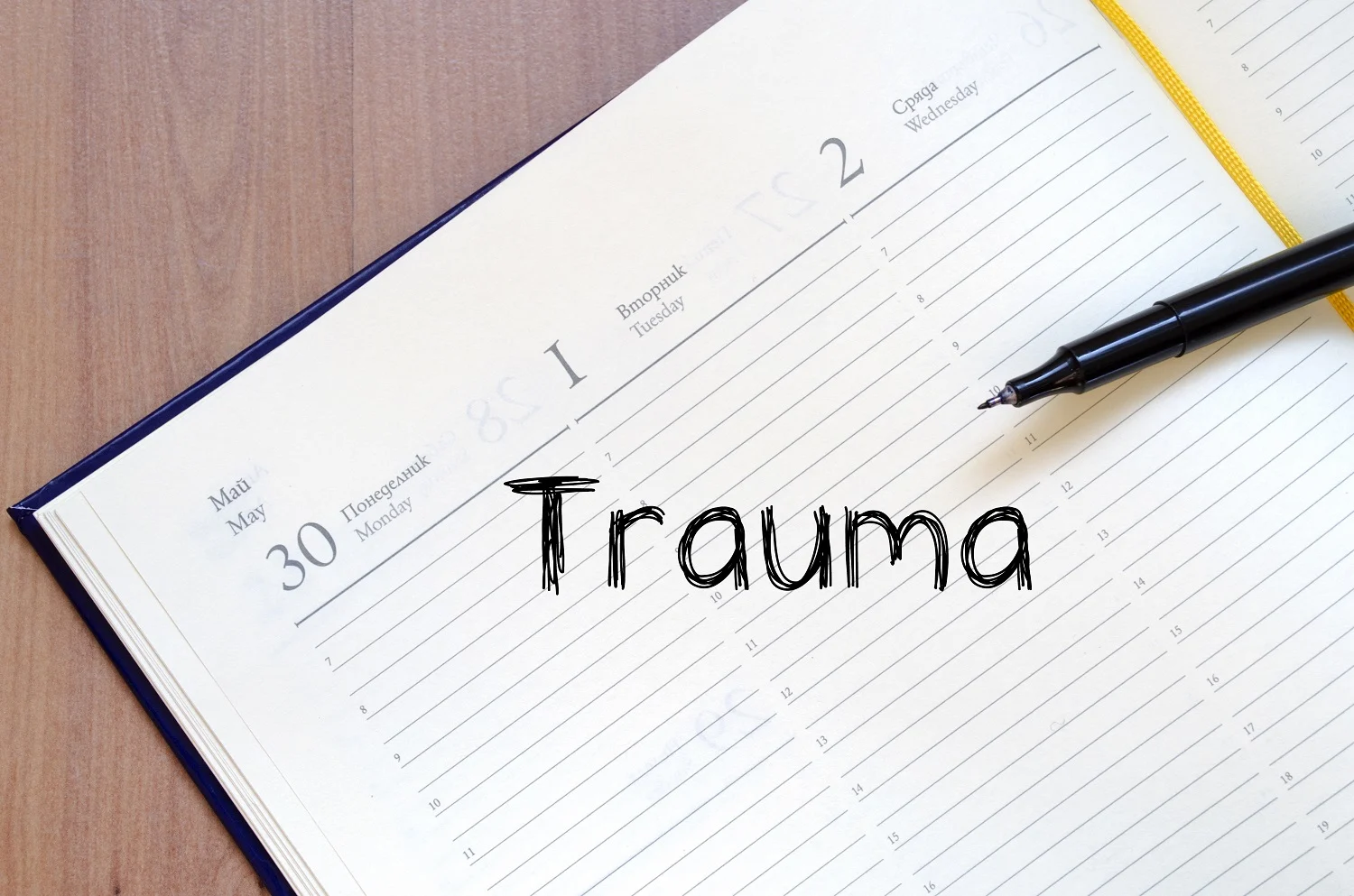 Understanding PTSD in a Loved One