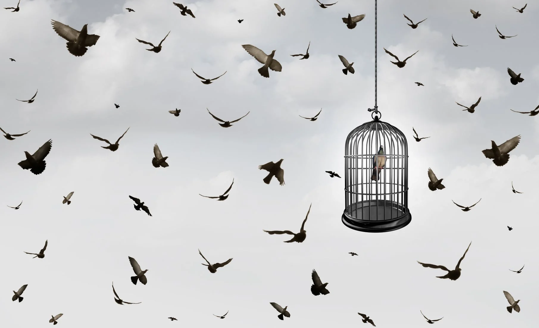 Everything You Need to Know about Claustrophobia