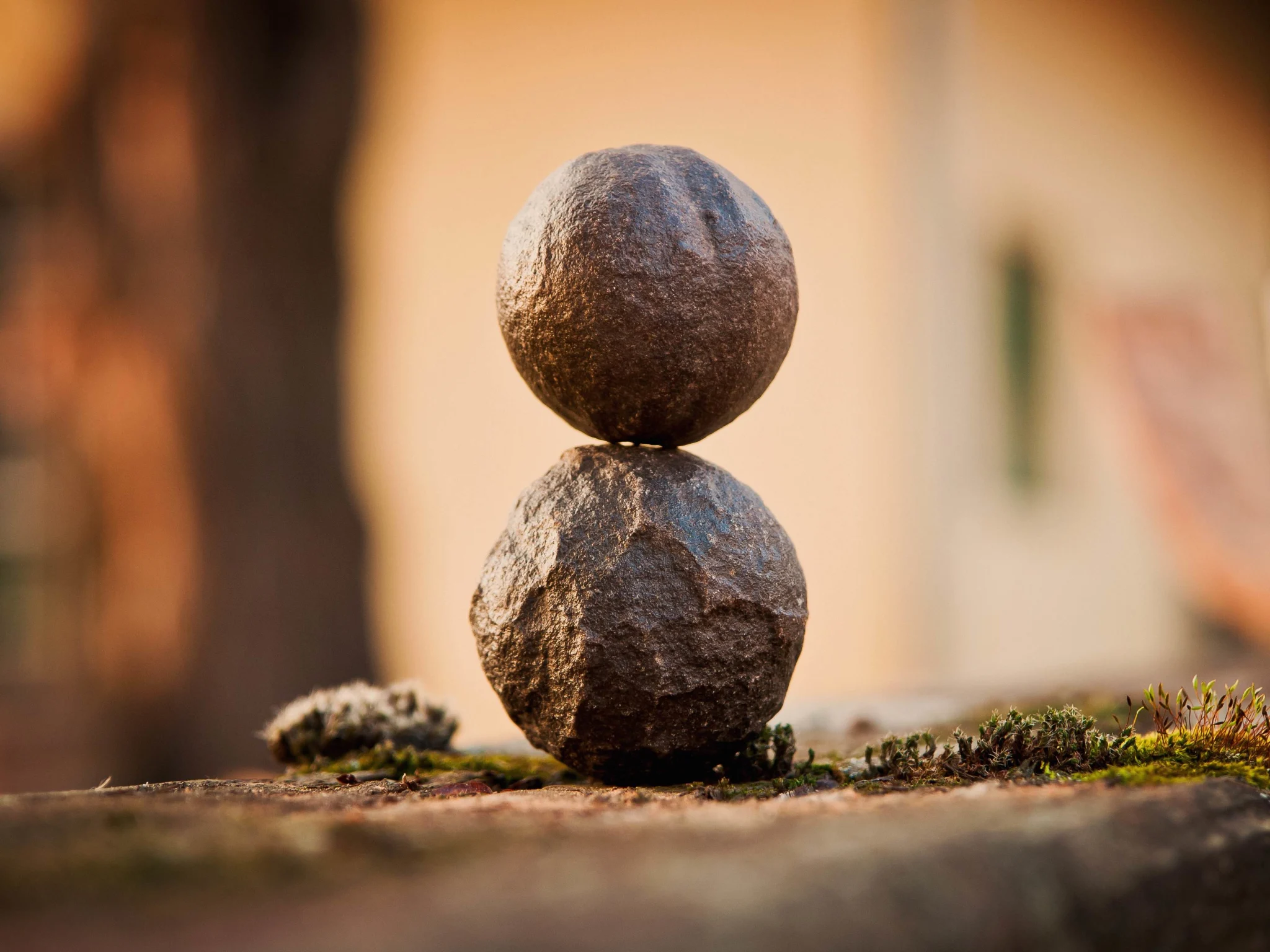 Midwives and palliative carers