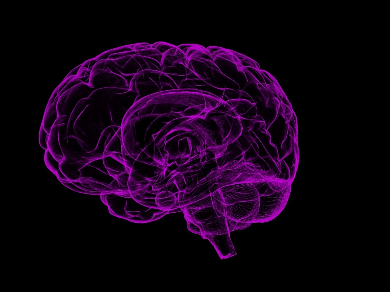 What Makes the Human Brain Human?