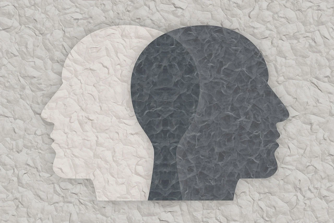Movies about bipolar disorder- Mental Health Related Films
