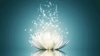 Reclaiming Sexuality and Desire