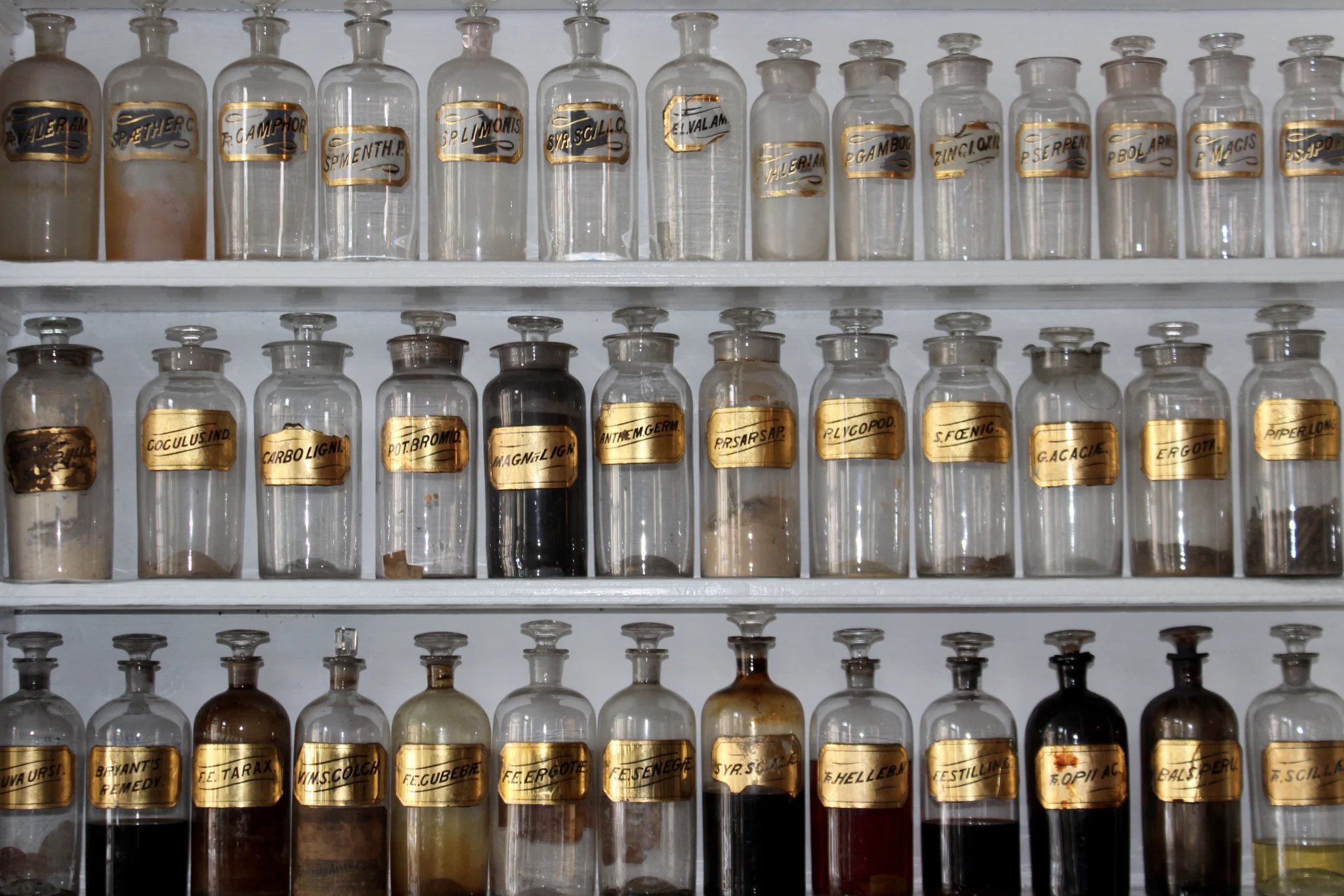 Adaptogens and Stress: What to Know