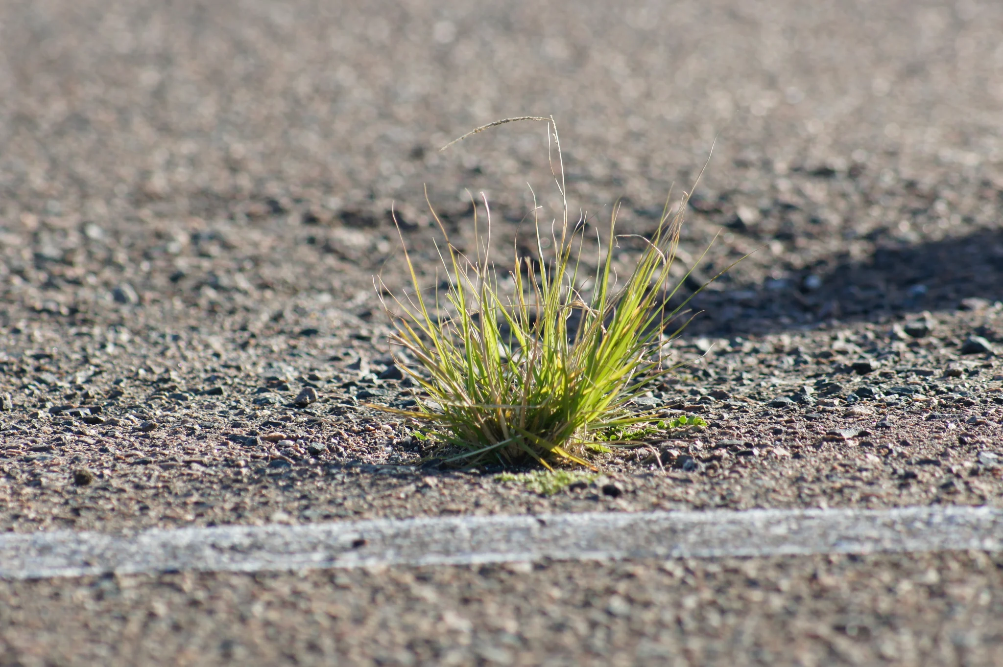 The (Secret) Benefits of Adversity