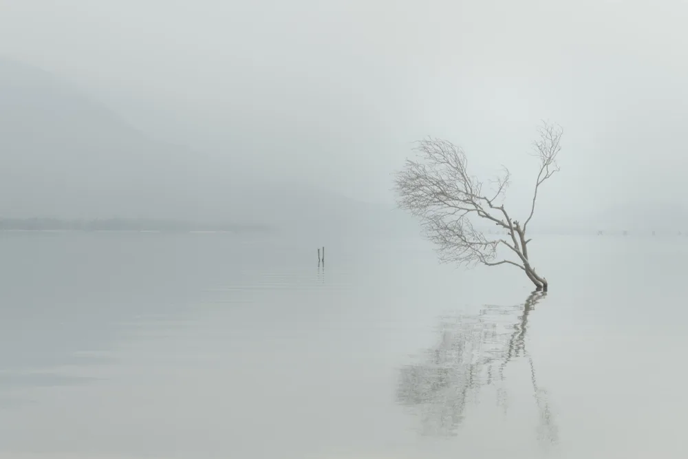 Listen To My Silence...