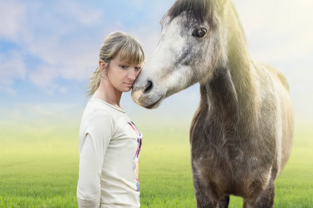 Equine Assisted EMDR
