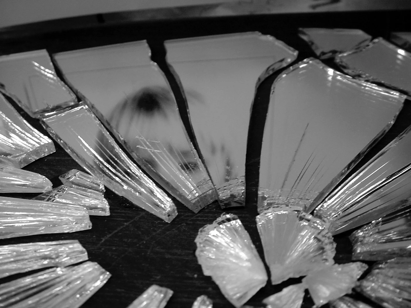 The Trauma Behind the Trauma