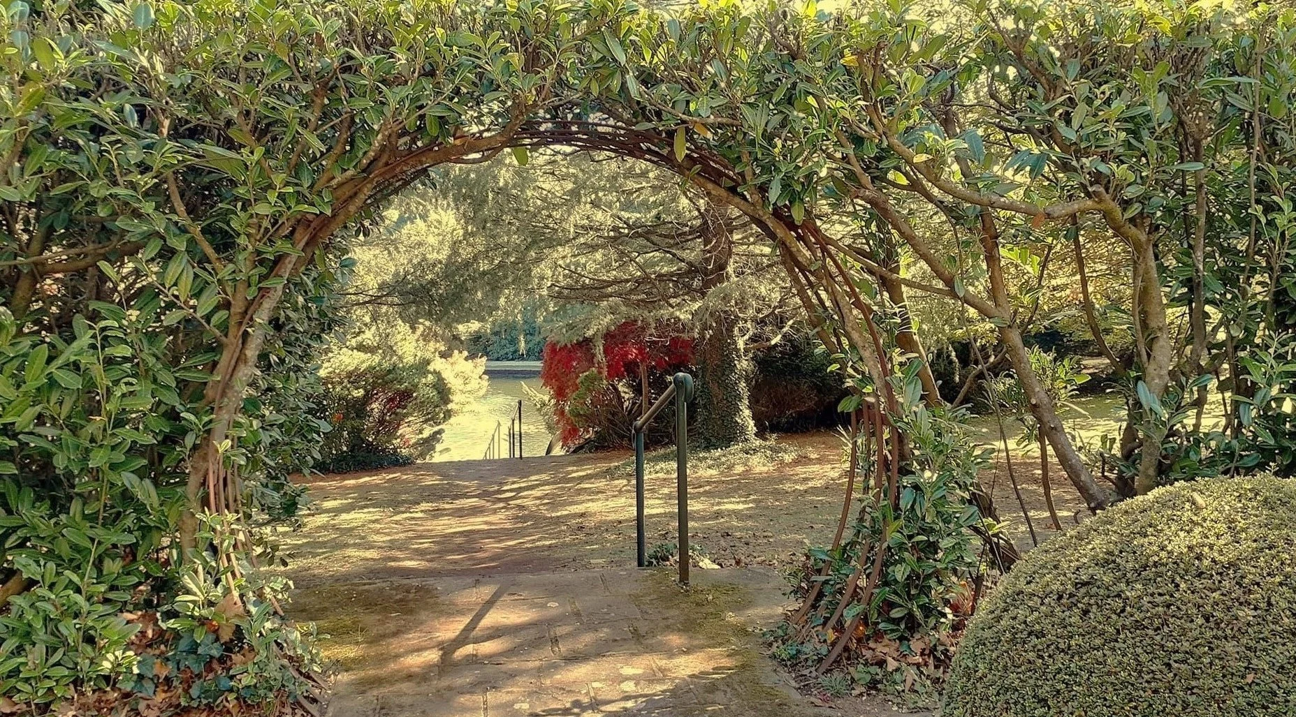 Surviving Mother's Day with A Challenging Mother-Daughter Relationship