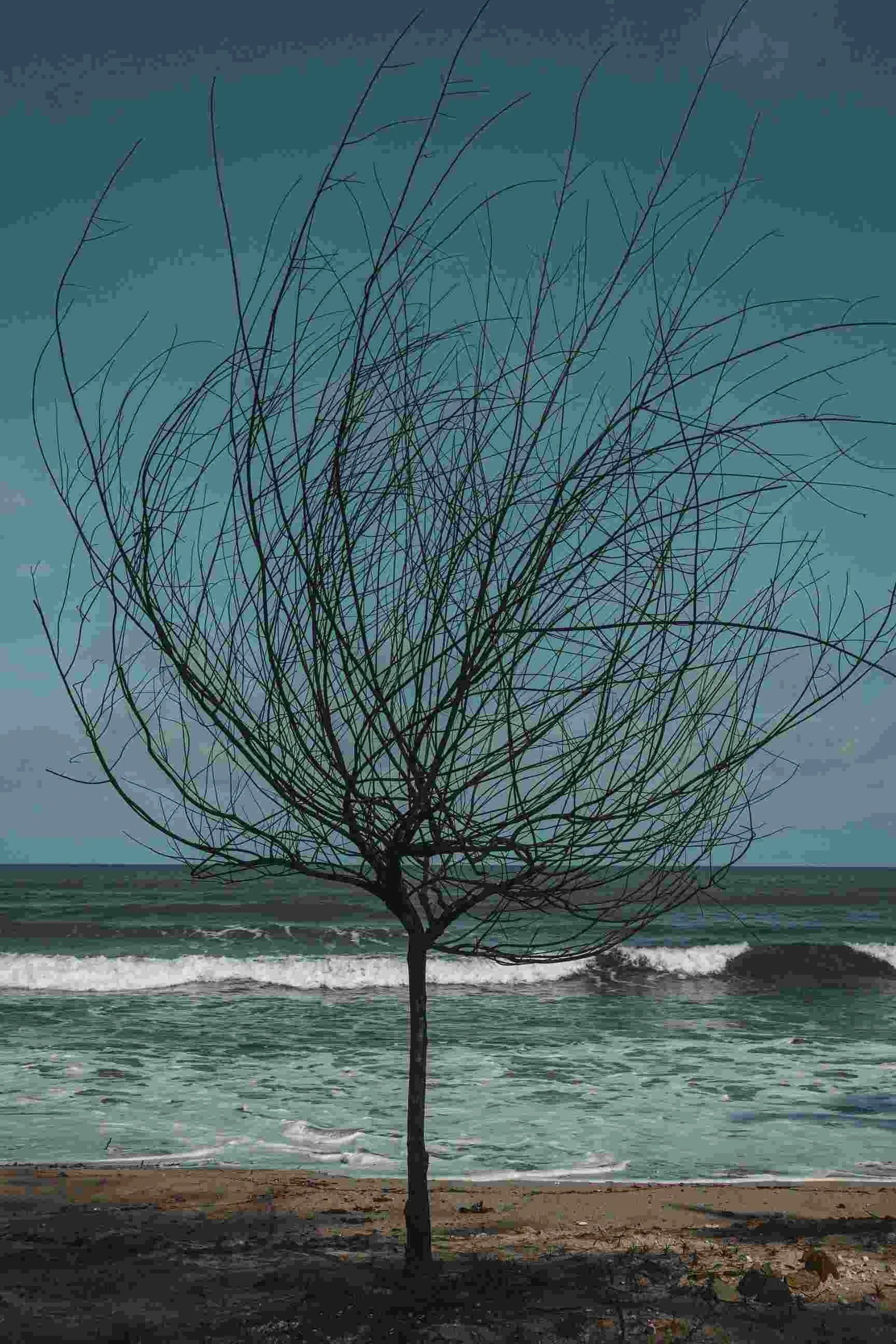 the-emptiness-of-seasons