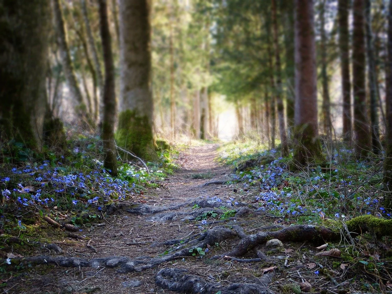 The Ultimate Personal Reset: Take a career break!