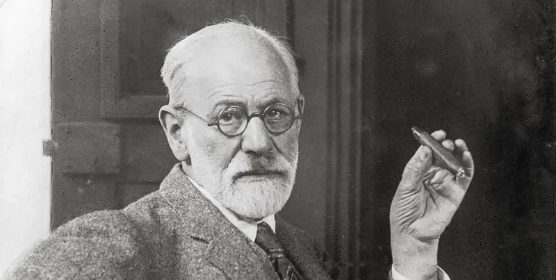Concepts in Psychoanalysis