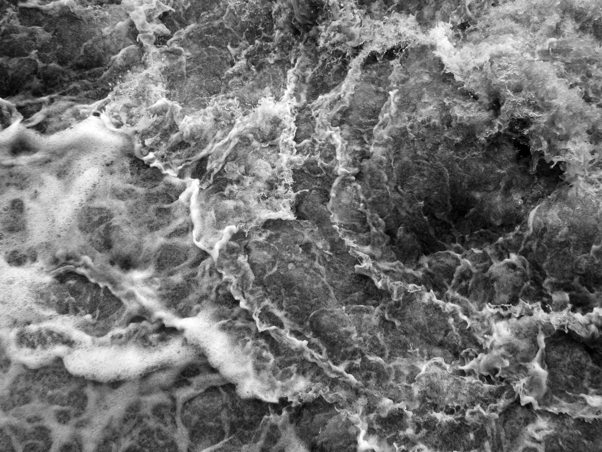 Random Eruptions of Violence and Destruction or Reenactments of an "unremembered" past?