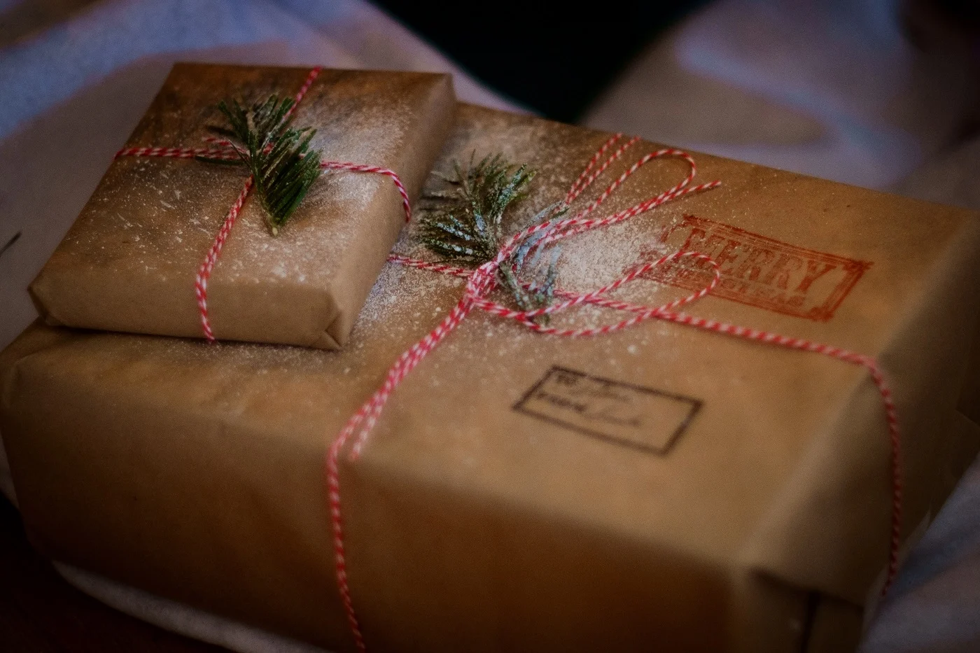 The Most Important Emotional Essentials for Holidays Near or Far