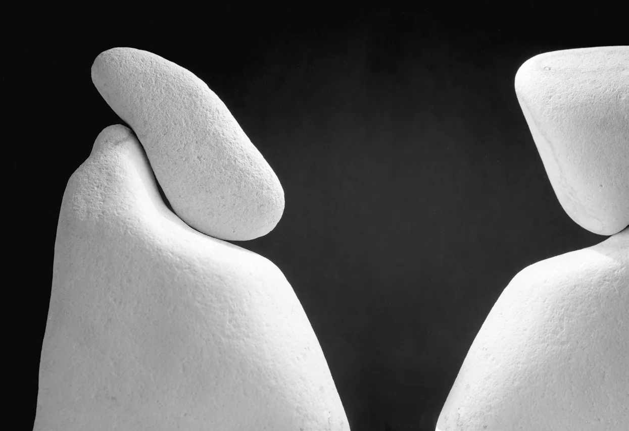 The Dialogical Cure: An interview with Hubert Hermans