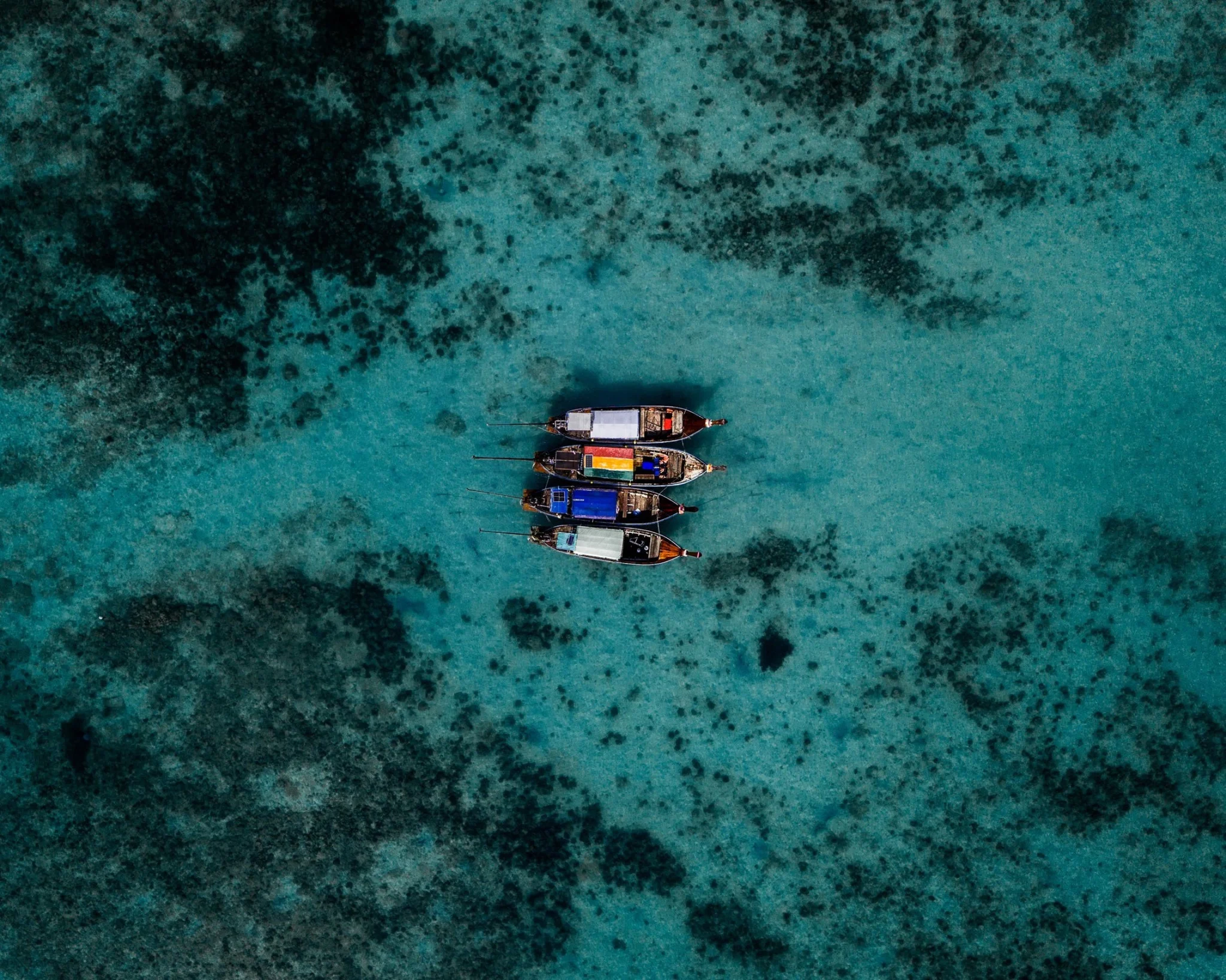 In the same boat, but paddling apart.