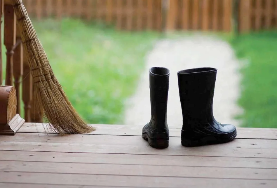 In Praise of Ordinary