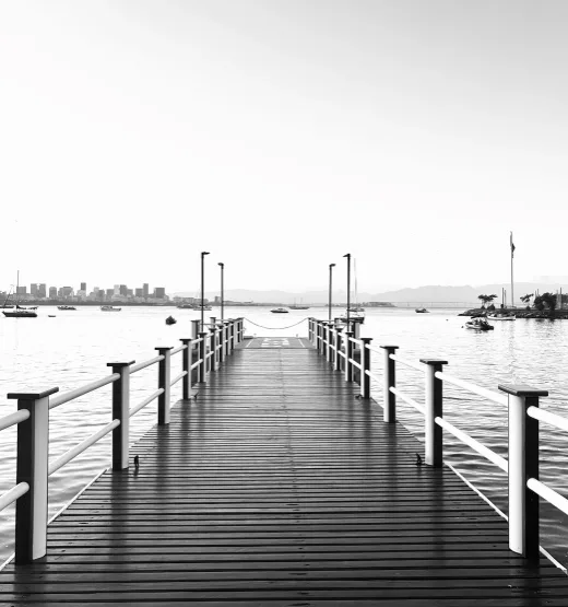 O Atropelamento do luto em Tempos Acelerados