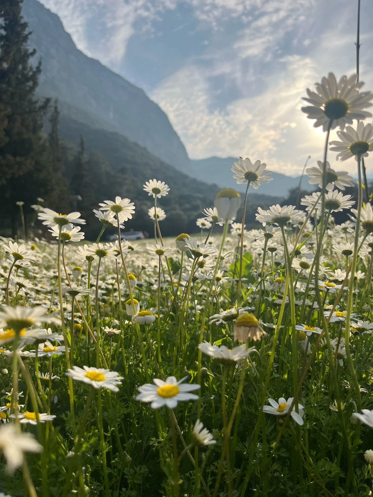Cultivating Hope
