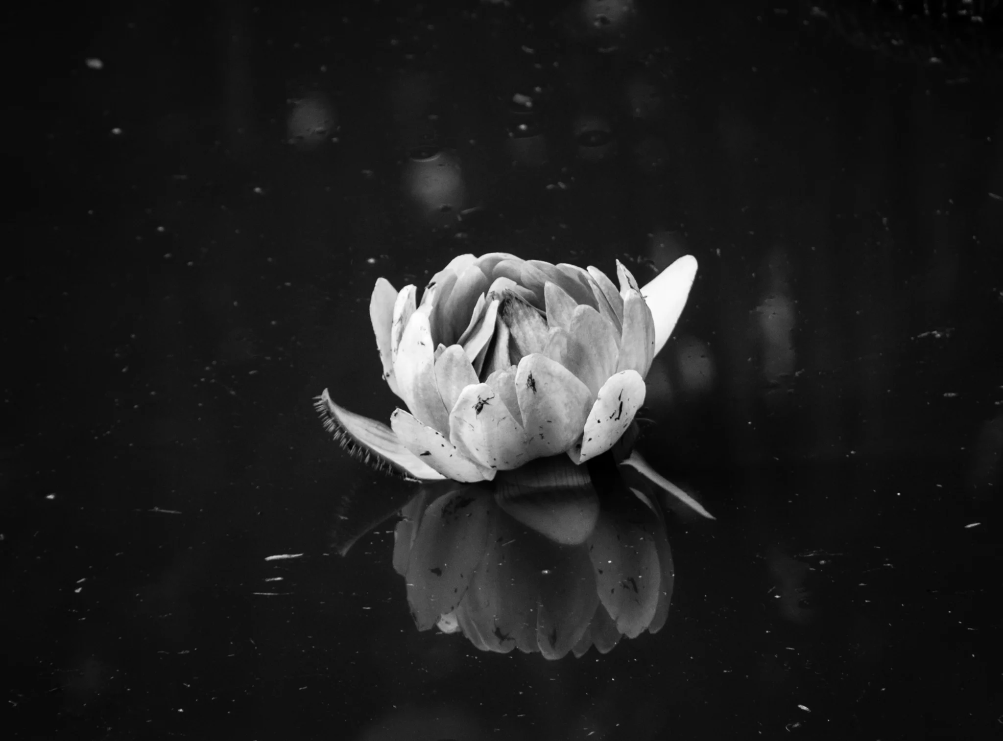 Mindfulness Meets Psychoanalysis: Inquiring Deeply About “SELF”