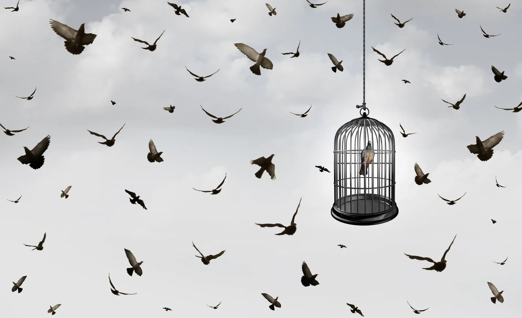 Everything You Need to Know about Claustrophobia