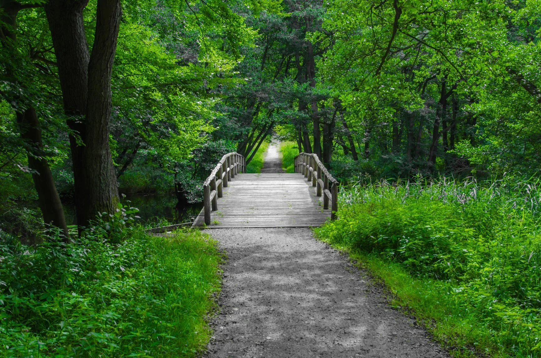 The Mental Health & Social Impact of the Coronavirus