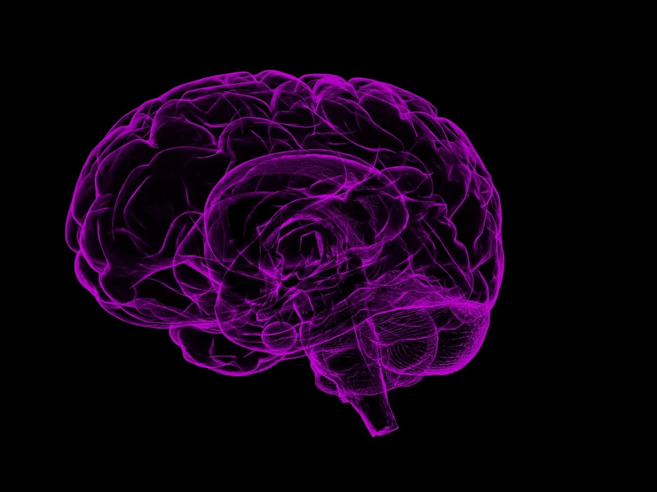 What Makes the Human Brain Human?
