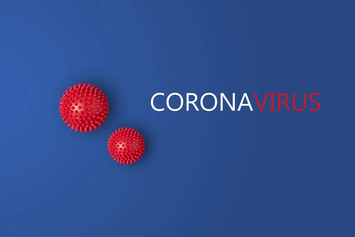 Coronavirus, Perception, Reality and Frenzied Shopping In the United States: A Story of Fear and An