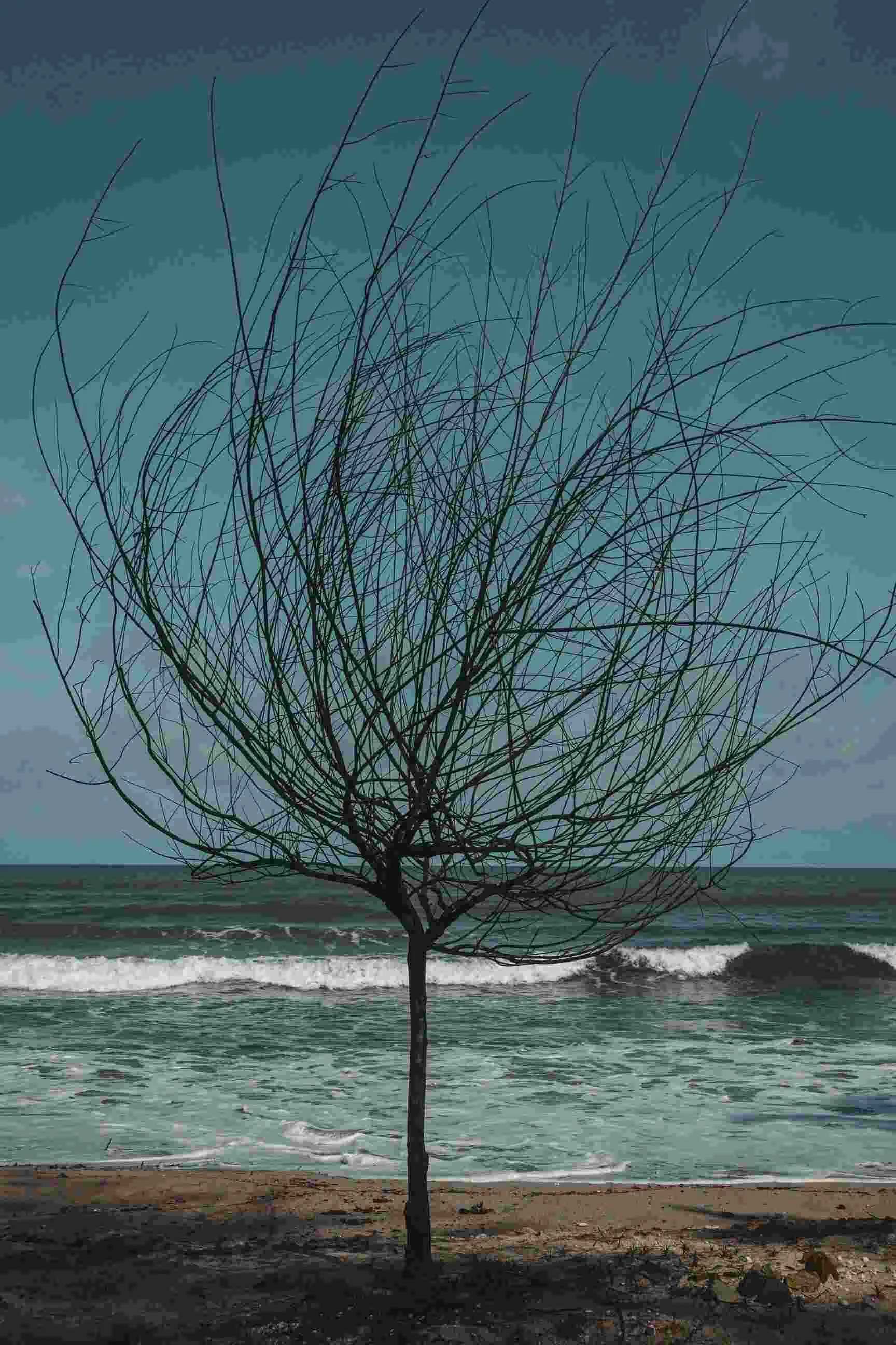 the-emptiness-of-seasons