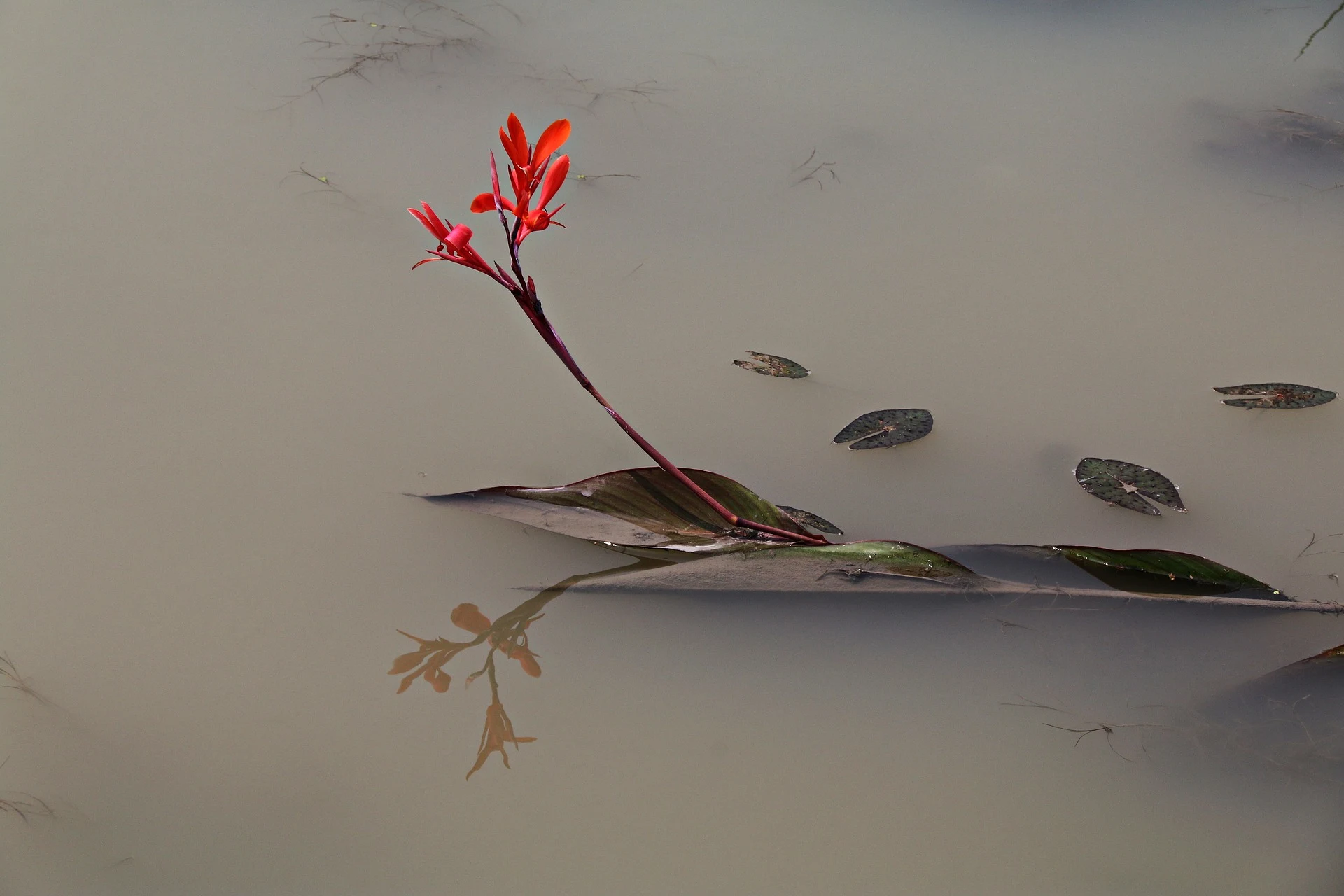 Dealing with Grief