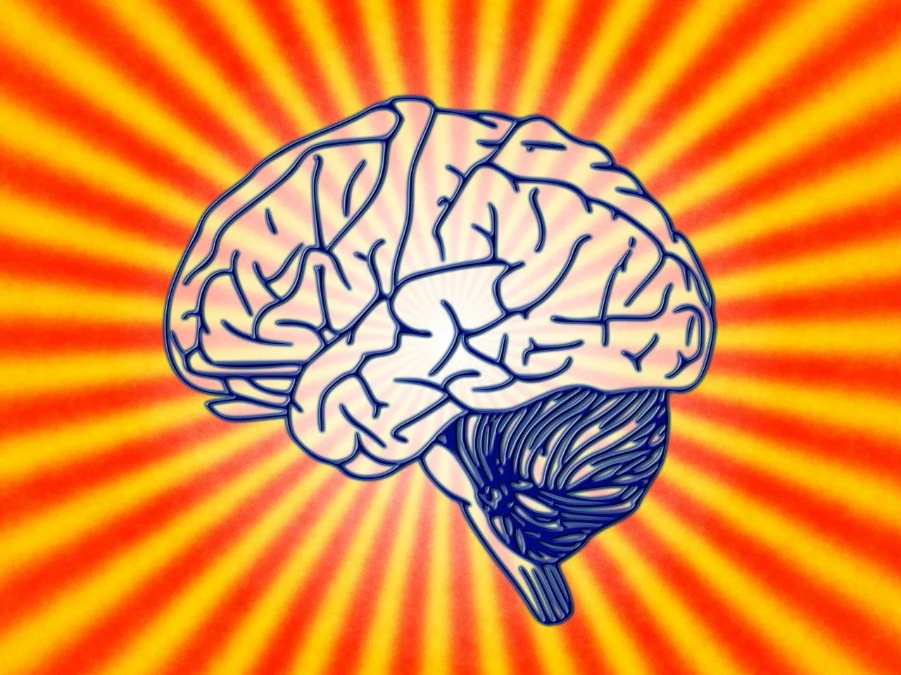 Consciousness
