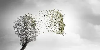 A Spreader in Search of a Container