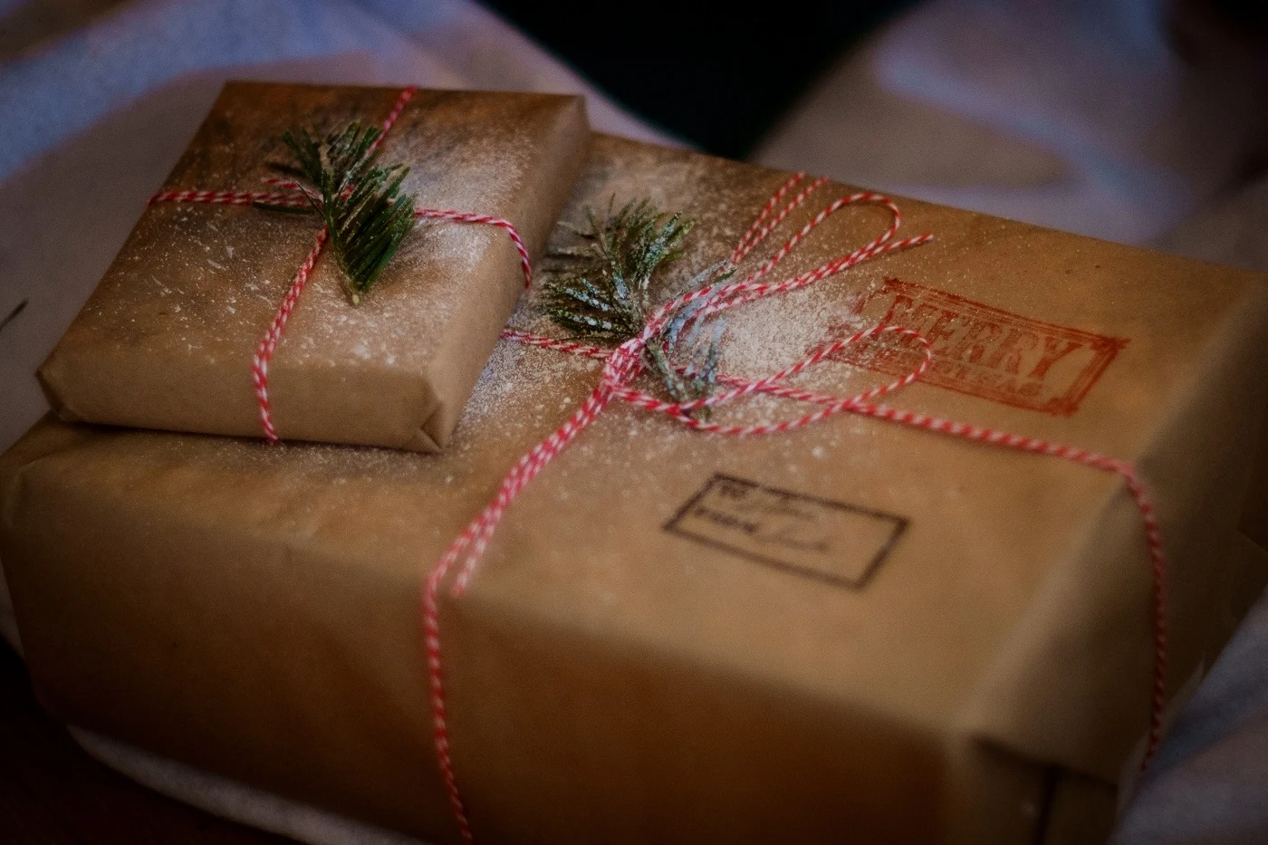 The Most Important Emotional Essentials for Holidays Near or Far