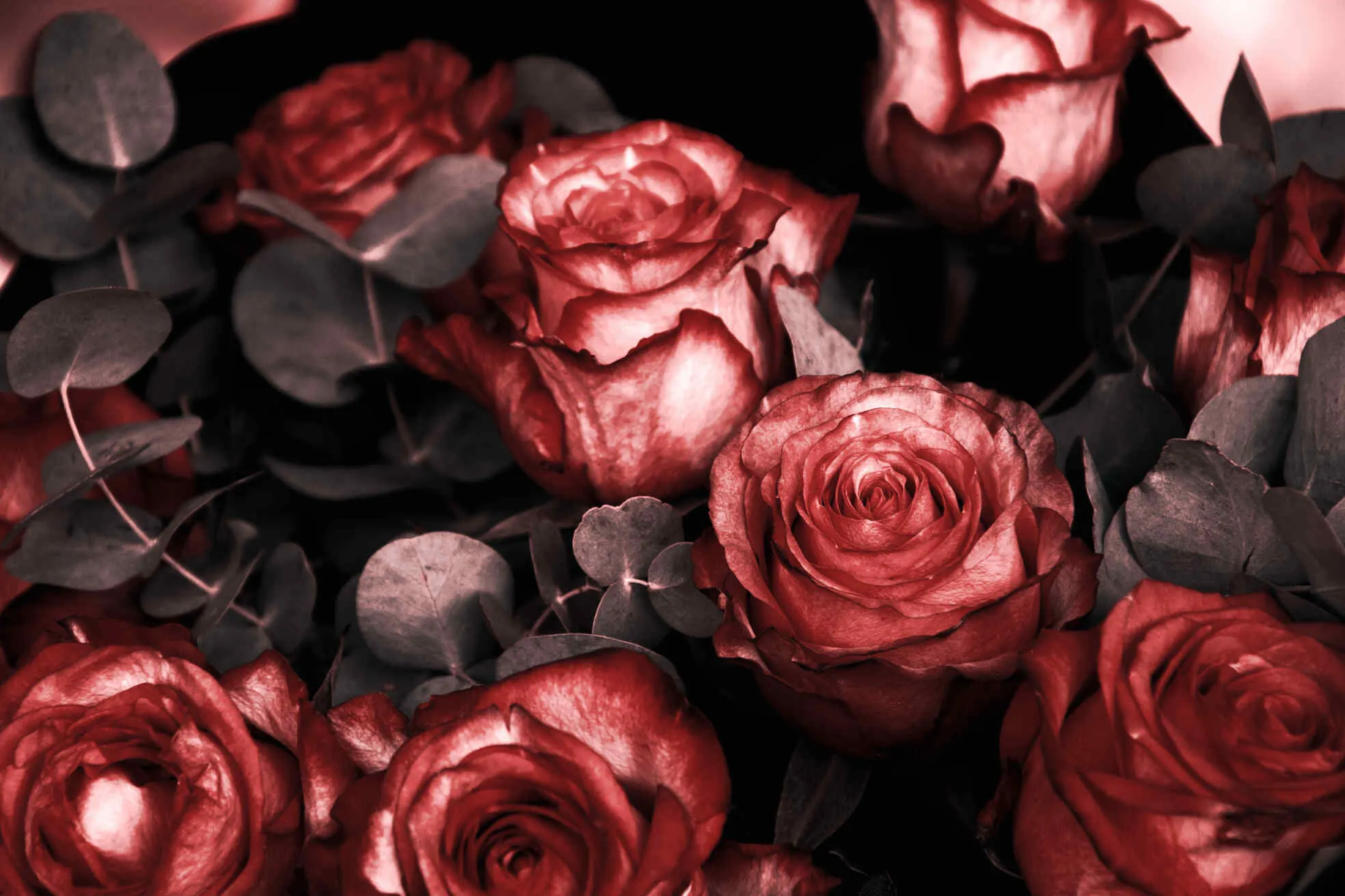 5 Myths About Grief
