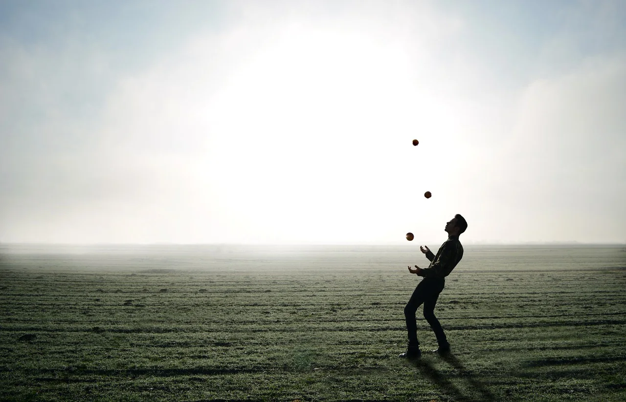 If this was a Circus, Mental Health Professionals would be the Jugglers.