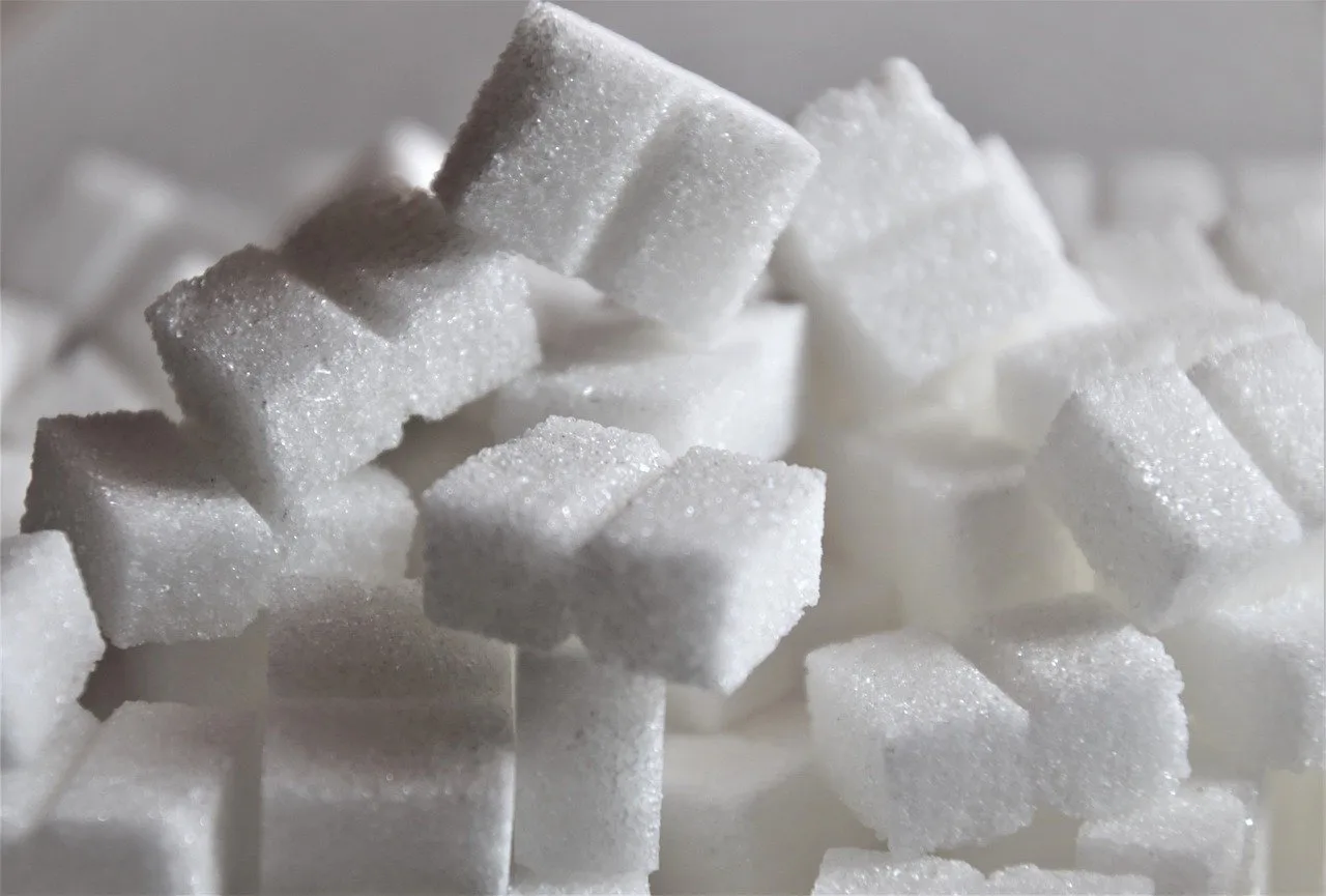 What does it mean to recover from food addiction?