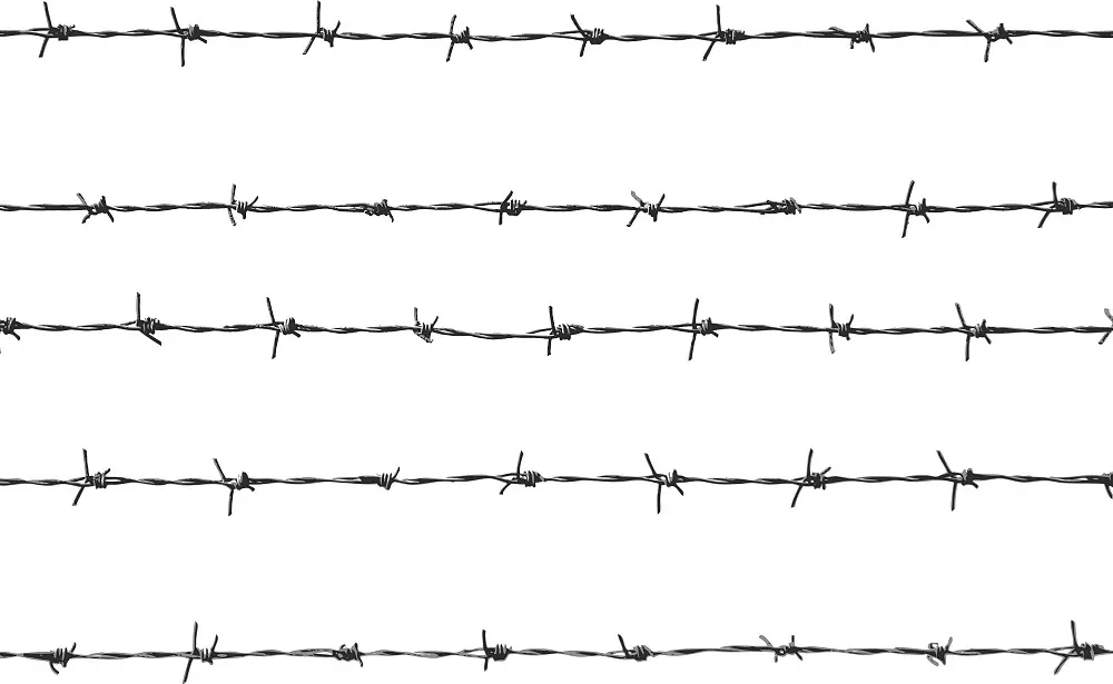Nature, Nurture, and the Problem of Free Will