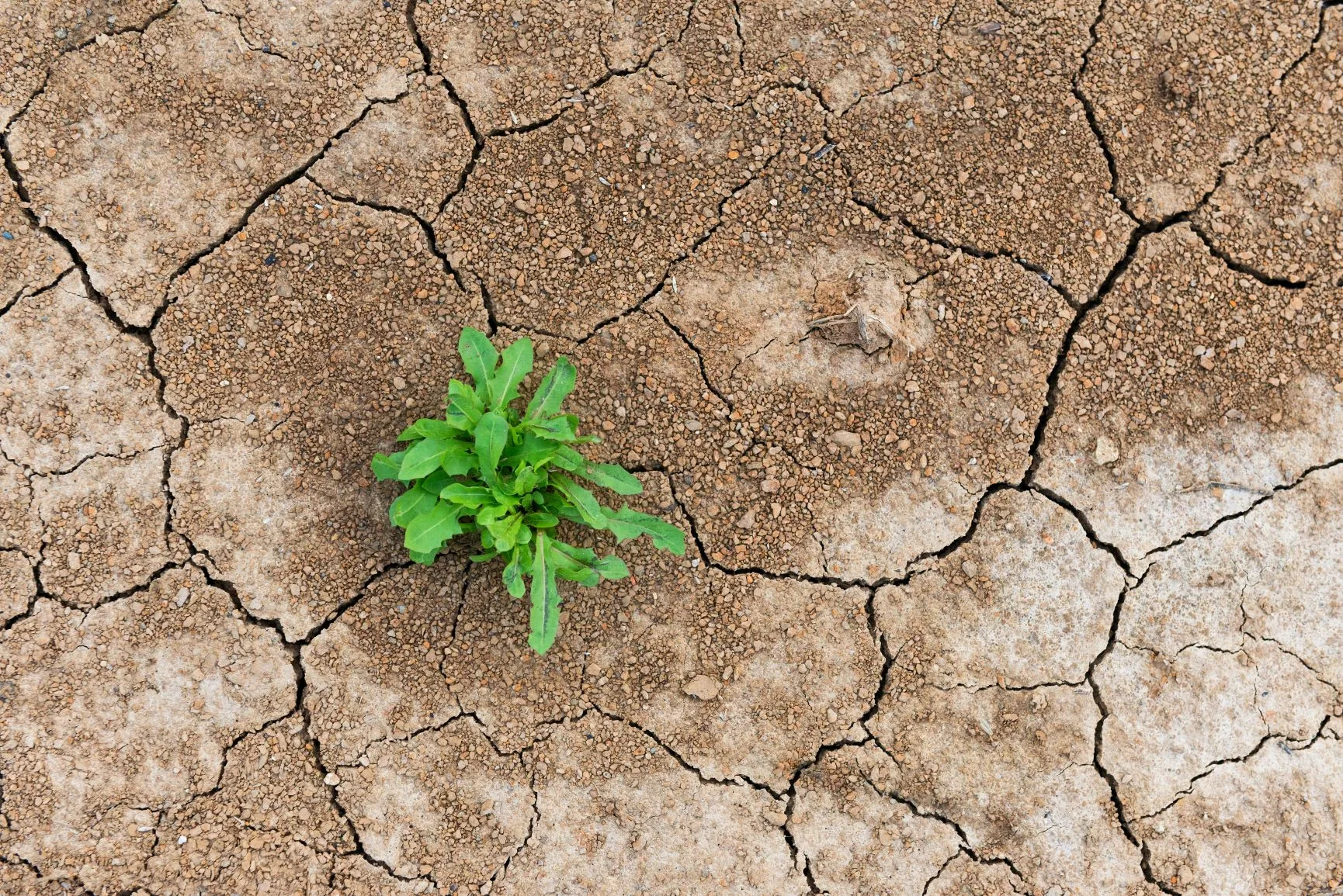 Measures of our mental wellness