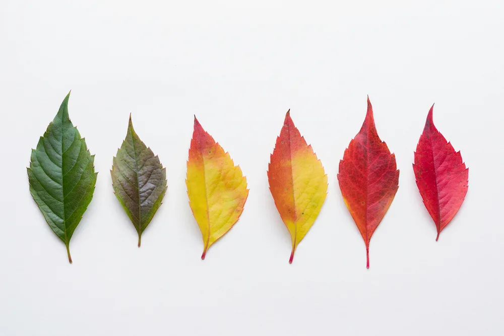 Revisiting the dialectical view of personal change