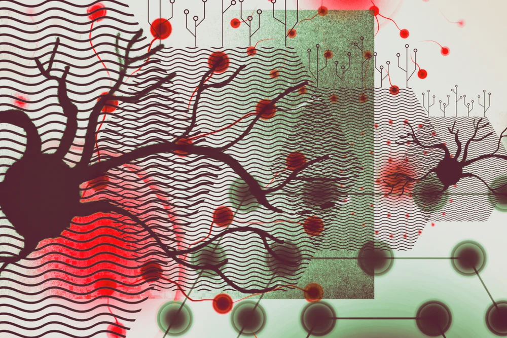 What is Neuropsychoanalysis?