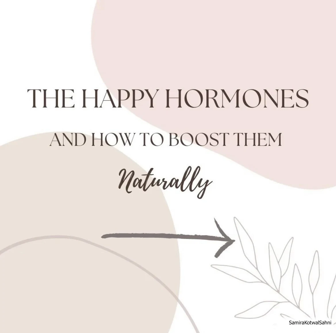 Happy Hormones