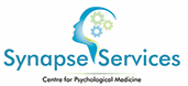 Synapse Services Ltd
