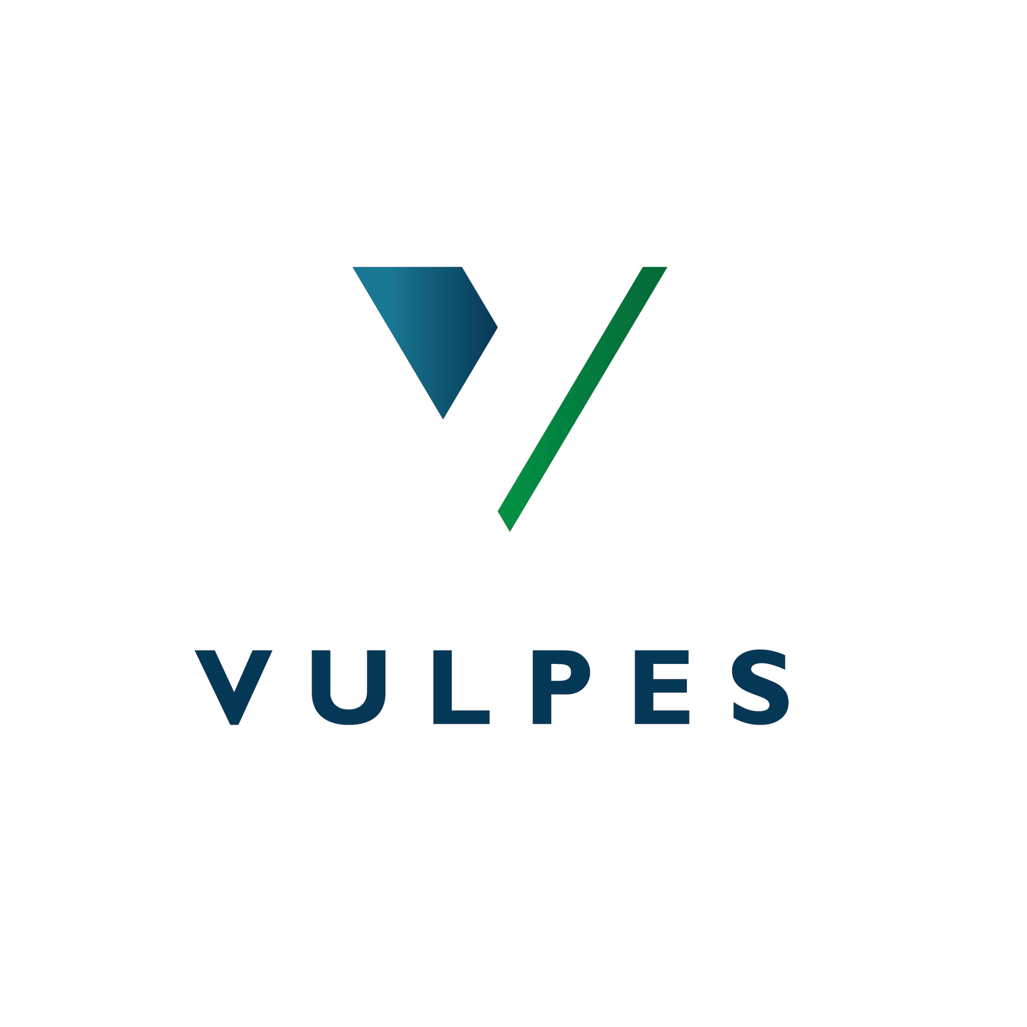 Vulpes Consultants (Pty) Ltd