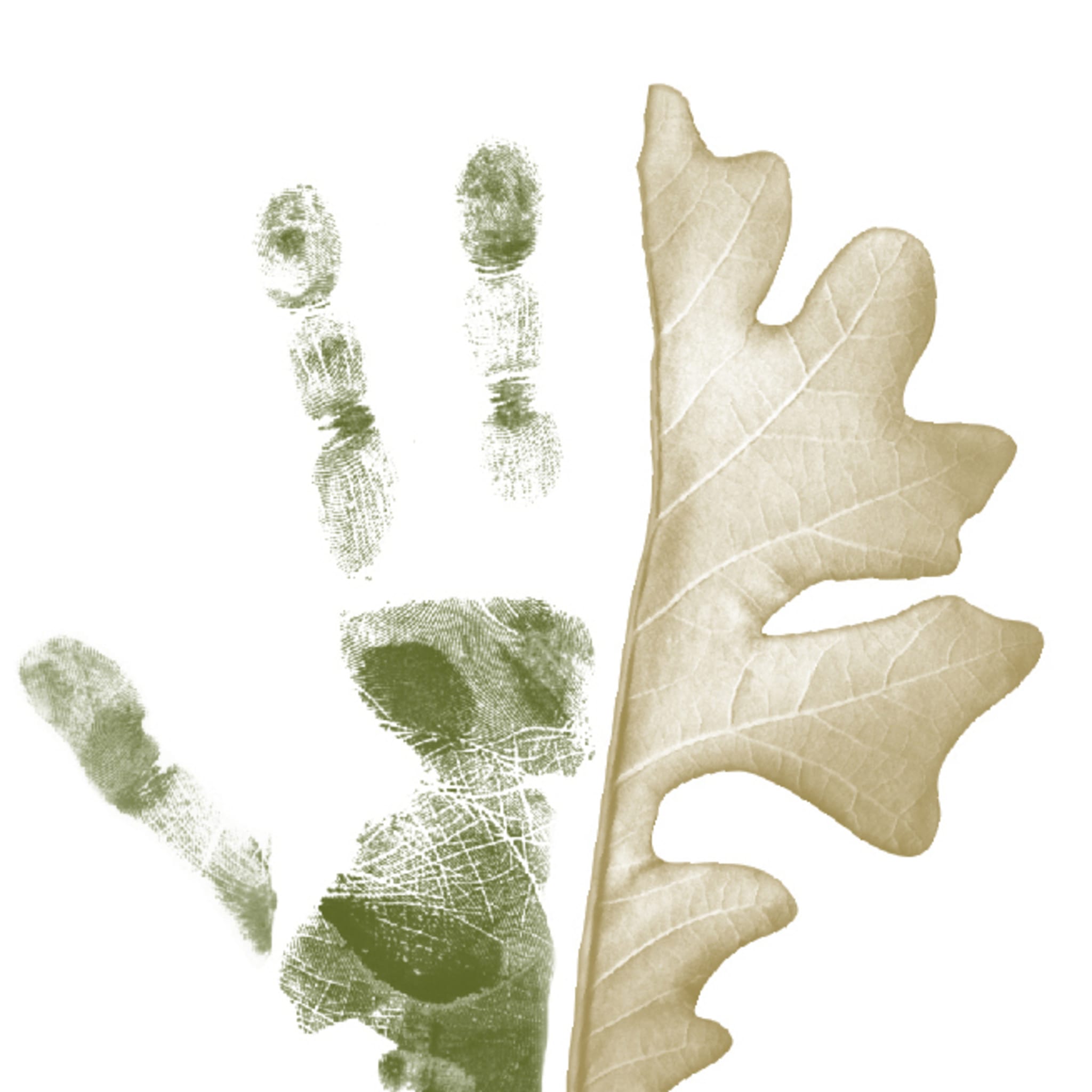 The Oak Centre for Child and Family Psychology