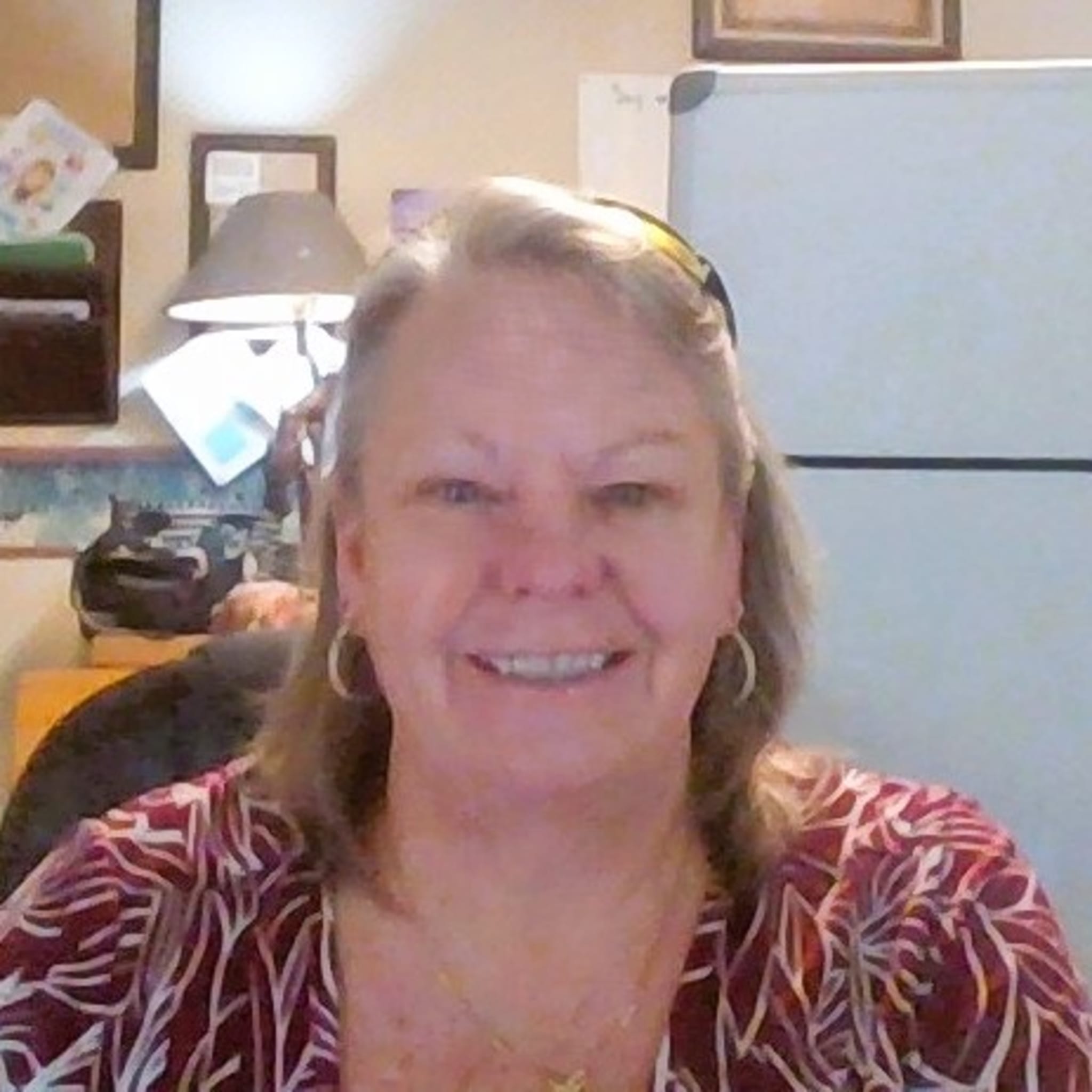 Shedding Light Counseling LLC