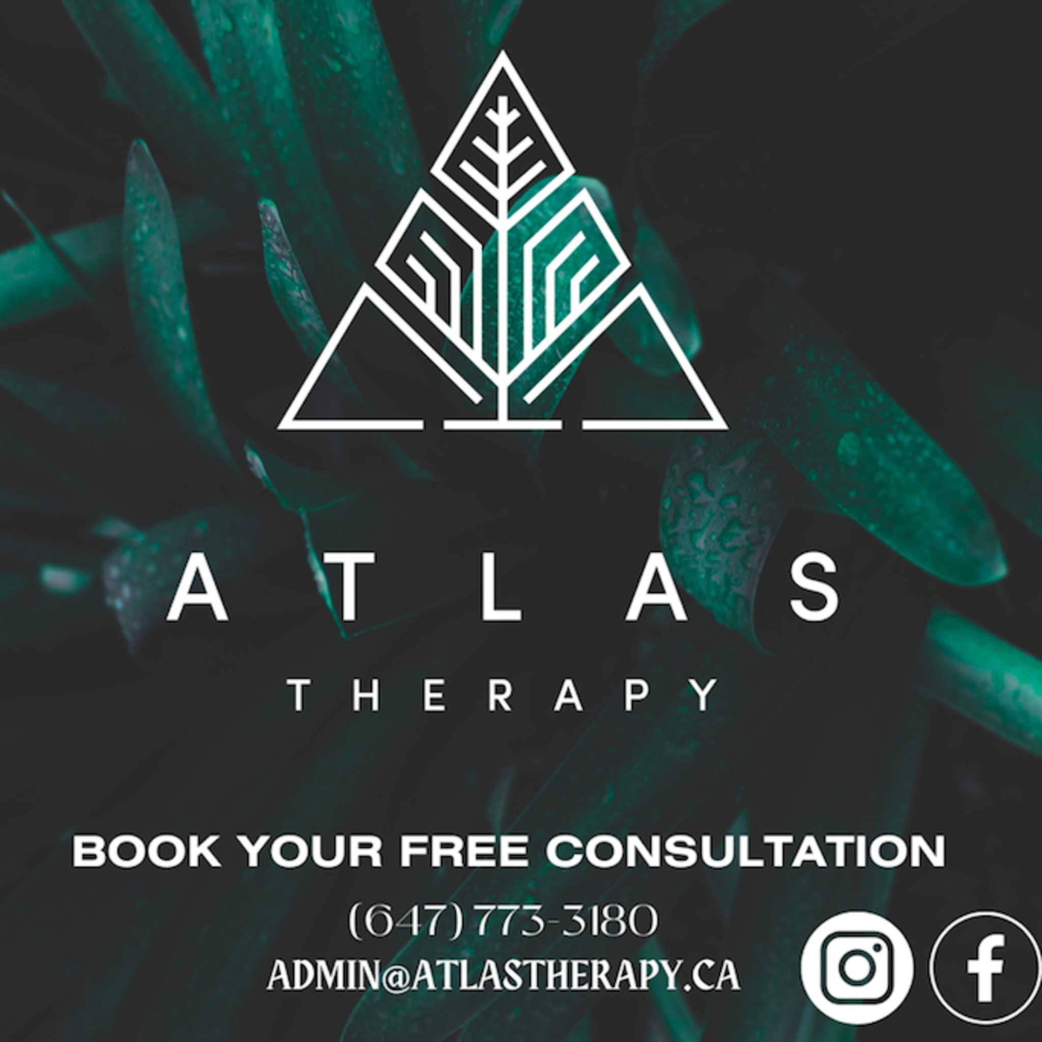 Atlas Therapy