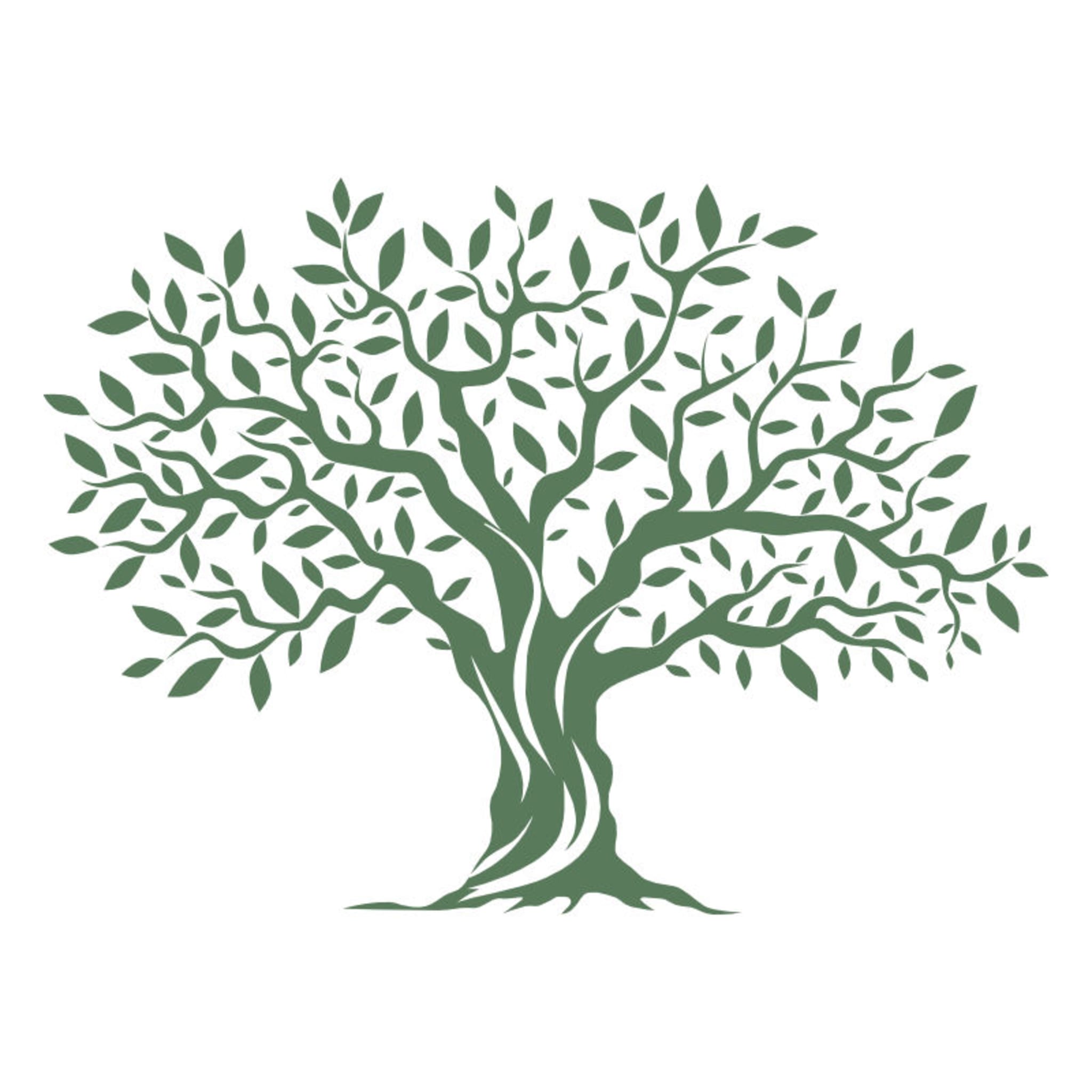 Elevate Wellness Center