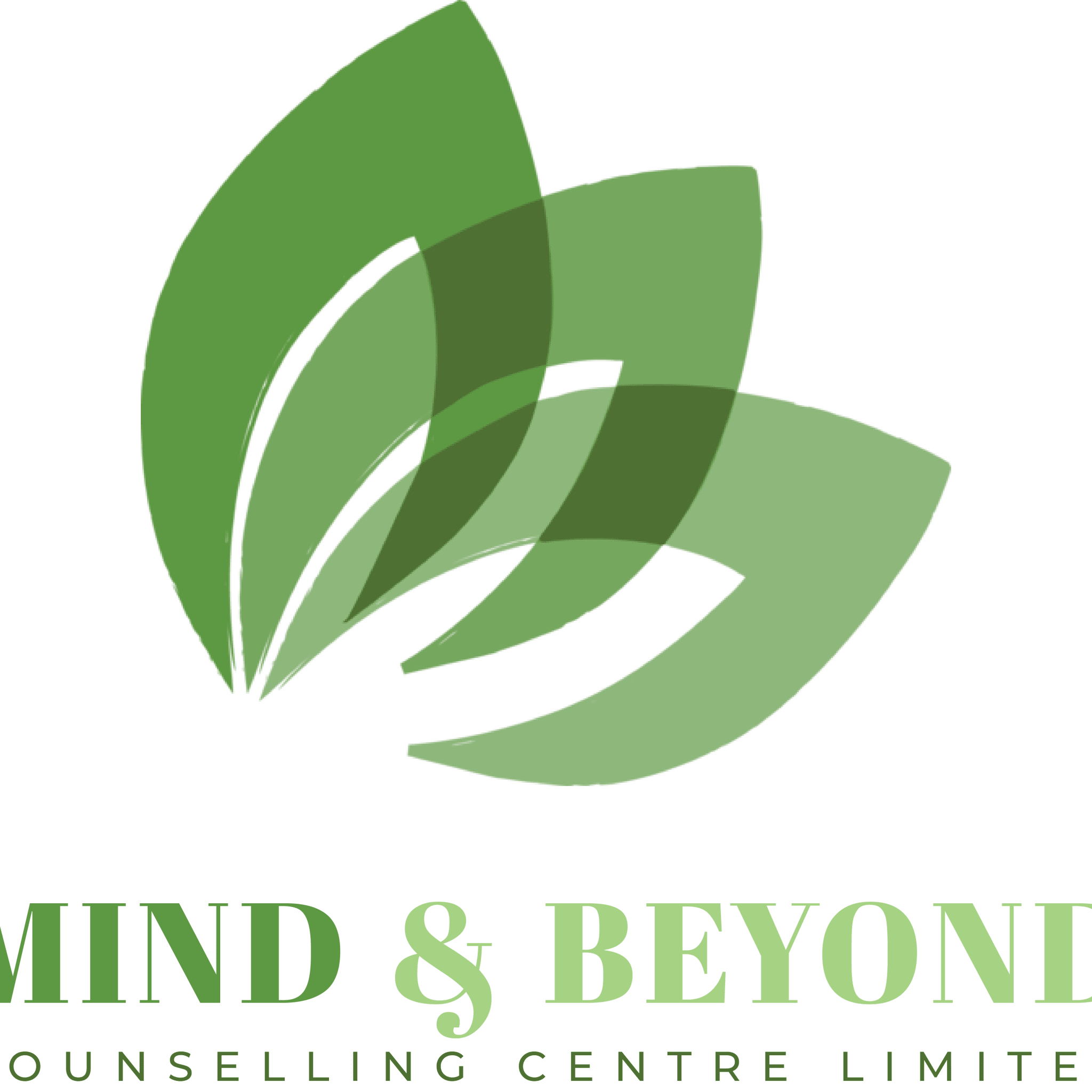 Mind & Beyond Counselling Centre