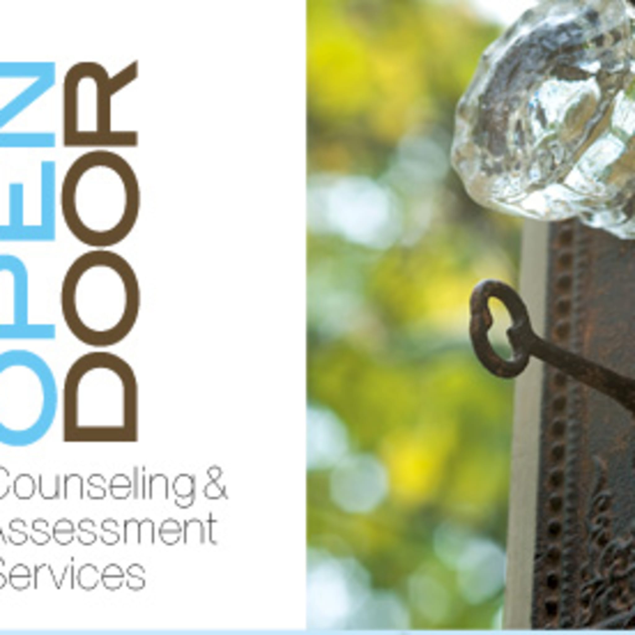 OpenDoor Counseling and Assessment Services, Pllc